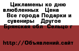 Цикламены ко дню влюбленных › Цена ­ 180 - Все города Подарки и сувениры » Другое   . Брянская обл.,Сельцо г.